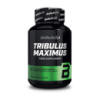 Tribulus Maximus (90 tabs)