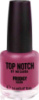 Лак Top Notch Prodigy Nail Color by Mesauda 14 мл 291 You Cherrific