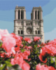 Картина за номерами «Собор Парижської Богоматері» 40х50см