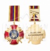 Медаль «Захисник Батьківщини»