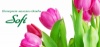 Интернет-магазин одежды Sofi Интернет-магазин одежды Sofi