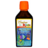 Риб'ячий Жир для Дітей зі Смаком Апельсина, The Very Finest Fish Oil for Kids, Carlson, 200 мл