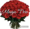 Букет троянда 40 см, квіти, доставка квітів, букети на замовлення, Ⓜ️Оболонь Київ. Magic Trio