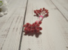 Тичинки квіткові в цукрі червоні 5 мм,50 тичинок в пучку