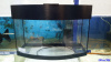 аквариум с гнутым стеклом 30л