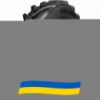 520/85 R46 Galaxy Earth-Pro 850 158A8/B Индустриальная шина