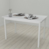Стол кухонный Ferrum-decor Бенита 75x120x60 Белый ДСП Белое 16мм (FRD-106266)