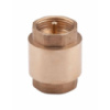 Зворотний клапан Valve 1« SV240W25