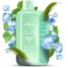 Elf Bar BC45000 Мята (Double Mint)