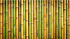 Bamboo Background - 01