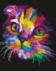 Картина за номерами «Райдужне кошеня» 40х50см