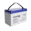 Аккумуляторная батарея PANTEC 100-12 GEL 12V 100 Ah (330 x 173 x 218), 30.4 kg Grey Q1/48