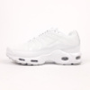 Nike Air Max Plus TN білі  SIN