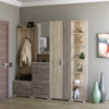 Прихожая Эверест Бриз-4 с распашным шкафом ШП-2 (4 элемента) сонома + трюфель (DTM-2659)
