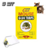 Комплект ловушка для мышей клеевая 5 шт Catch Expert - Mouse glue traps 2 листа 13х18 см, липкая ловушка (ST)