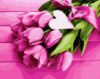 Картина за номерами «Тюльпани для коханої» 40х50см