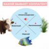 Значение коллагена для здоровья