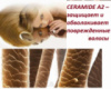 CERAMIDE A2