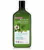 Кондиционер для терапии кожи головы «Чайное Дерево» *Avalon Organics (США)*