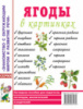 Ягоды в картинках. Наглядное пособие для педагогов, логопедов, воспитателей и родителей.