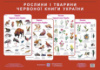 Рослини і тварини червоної книги України. Комплект плакатів + методичні рекомендації (ПіП)