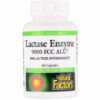 Ензим Лактазы, Lactase Enzyme, Natural Factors, 9000 FCC ALU, 60 Капсул