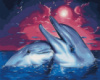 Картина за номерами «Дельфіни» 40х50см