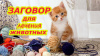 ЗАГОВОР ДЛЯ ЛЕЧЕНИЯ ЖИВОТНЫХ