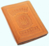 Обложка для паспорта «Андріївський узвіз»