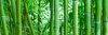Ceramika Konskie Bamboo Glass Rett. Inserto Ceram 25х75х2 декор Кераміка Конські Бамбу Глас Інсерто Керам