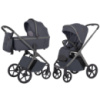 Коляска універсальна CARRELLO Vector CRL-6550 2в1 Plum Grey /1/