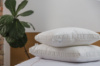 Подушка Ecotton 50х70 см Ecofill Premium антиалергенна з кантом біопух біла в чохлі для зберігання White
