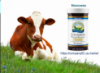 Молозиво. Colostrum. Колострум. Доставка по всей Украине
