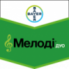 МЕЛОДІ ДУО