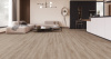 Ламінат KASTAMONU Classic KT205 Devine Oak 8 мм 31 клас без фаски