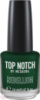 Лак для ногтей Top Notch Rebellion 14 мл 106 Dollar Green