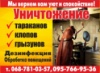 Чистый уютный дом Чистый уютный дом