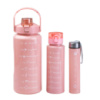 Набір пляшок для води з мотивуючими написами 300/700/2000 мл, рожевий