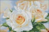Схема для вышивки Белые розы