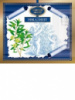 Эвкалипта эфирное масло на открытке 2.4 мл