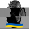 360/80 R20 Mitas TD-10 Сельхоз шина