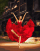 Картина за номерами «Пристрасна балерина» 40х50см