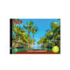 Альбом для рисования «Tropical summer» A4 АП-0301-8, 8 листов, скоба с перефорацией