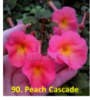 Peach Cascade (арт. 0-191)