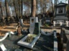 Памятник с мрамором коелга и змеевик № 32