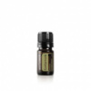 CARDAMOM ESSENTIAL OIL / Кардамон (Elettaria cardamomum), эфирное масло, 5 мл