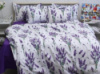 Комплект постільної білизни з компаньйоном R-T9268