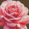 Алмазна мозаїка без підрамника - Досконала троянда ©art_selena_ua Идейка 40х40 см (AMC7854)