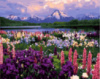 Картина за номерами «Долина польових квітів» 40х50см