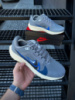 Кросівки Nike Zoom Pegasus 40 (d. gray)